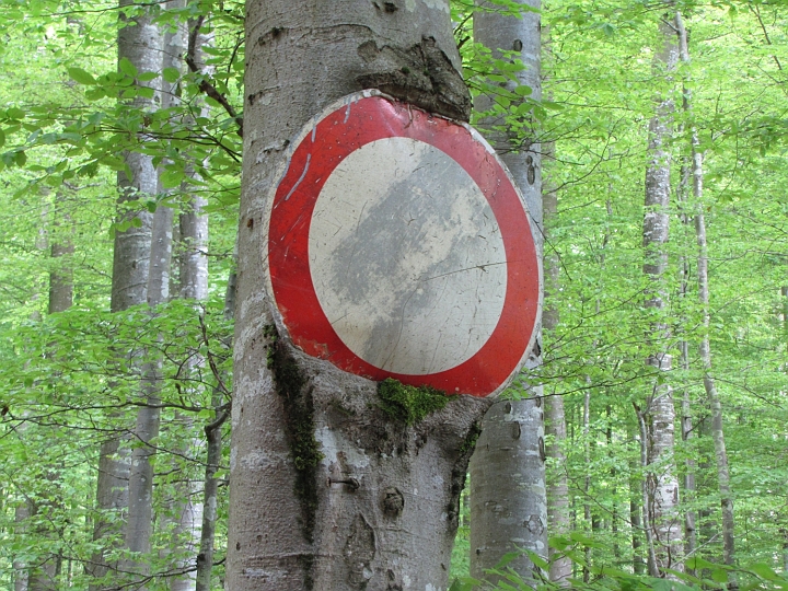 Wanderung 2014_140.jpg